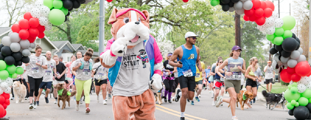 16th Annual Mutt Strut
